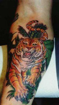 Tattoo Tiger - 50 kép