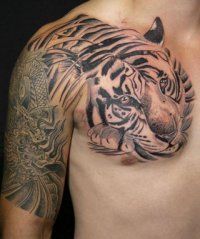 Tattoo Tiger - 50 kép