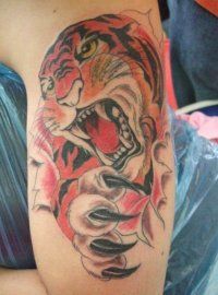 Tattoo Tiger - 50 kép