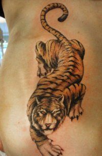 Tattoo tigru - 50 fotografii