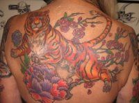 Tattoo Tiger - 50 kép