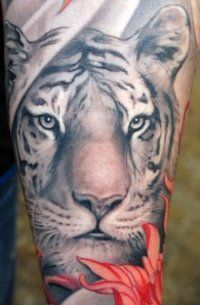 Tattoo Tiger - 50 kép