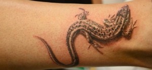 Șopârlă tatuaj (adică, schițe, fotografii), tattoofoturi