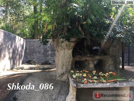 Thaiföld Kinyitni Állatkert Khao Kaew nyílt állatkert khao Khe - «Állatkert 🐘 Kao Kaew felülmúlta minden várakozásomat