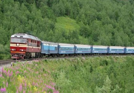 Locomotive diesel (43 imagini)