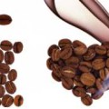 Технологія виробництва розчинної кави