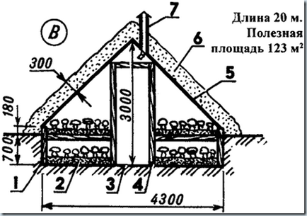 Tehnologia cultivării șampaniei folosind tehnologia roachului, know-how-ul, ideile, invențiile!