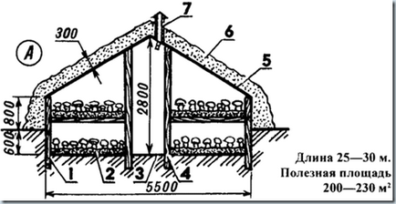 A technológia a növekvő gombák Grachev technológia, know-how (know-how), ötletek, találmányok! (Gomba) A technológia a növekvő gombák Grachev technológia, know-how (know-how), ötletek, találmányok!