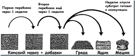 Технологія вирощування печериць за технологією Грачова, ноу-хау (ноу хау), ідеї, винаходи!