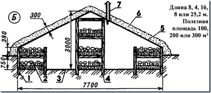 A technológia a növekvő gombák Grachev technológia, know-how (know-how), ötletek, találmányok! (2-Ridge szárnyon 3 tamped emelet) A technológia a növekvő gombák Grachev technológia, know-how (know-how), ötletek, találmányok!