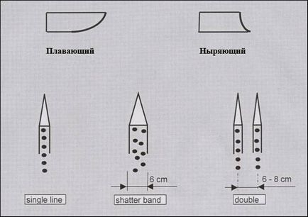 Технологія вирощування цибулі (стор