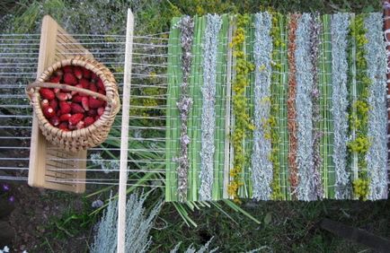 Weaving gyógynövények - Fair Masters - kézzel készített, kézzel készített (track) Weaving gyógynövények - Fair Masters - kézzel készített, kézzel készített
