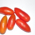 Томат - кібіц - (10 насіння)