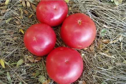 Descriere dulceață de roșii în roșii, avantaje și dezavantaje, recomandări pentru creștere