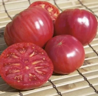 Tomato Torbay f1 descrierea recenziilor, celor care au plantat, deponentul dacha