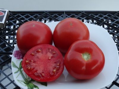 Domnul de tomate al stepei. Descrierea varietății, caracteristicile și recenziile