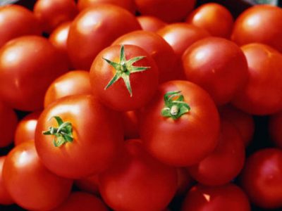Domnul de tomate al stepei. Descrierea varietății, caracteristicile și recenziile