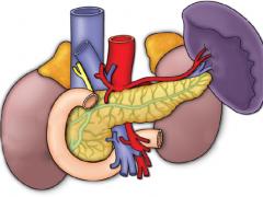 Ecografie pancreatică, pregătire pentru procedura și calitatea studiului