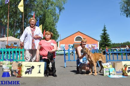 У Боровусі пройшла виставка собак фоторепортаж ч