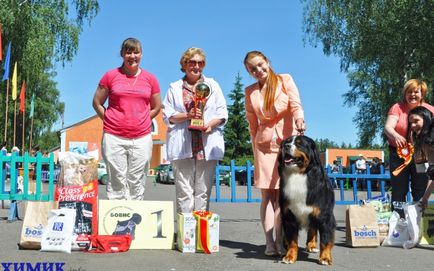 A borovuhe telt Kutya fotó esszé h (kiállítás) A borovuhe telt Kutya fotó esszé h