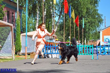 În Borovu a avut loc o expoziție de câini