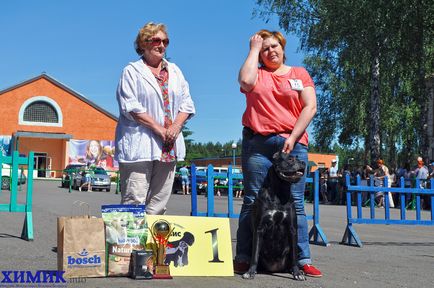 A borovuhe telt Kutya fotó esszé h (kutya) A borovuhe telt Kutya fotó esszé h