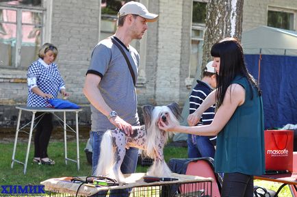 În Borovu a avut loc o expoziție de câini