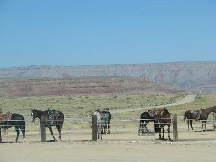 Великий і могутній grand canyon звіт про поїздку в west rim