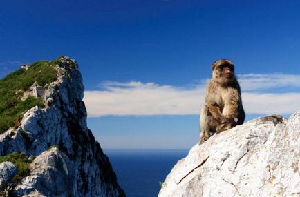 Marea Britanie, atracțiile din Gibraltar, descrieri și fapte interesante