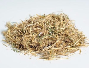 Чудові корисні властивості трави пирію
