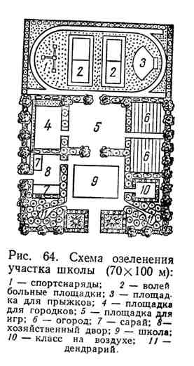 Види площ озеленення