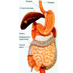 Vitamine și minerale