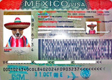 Віза до Мексики для росіян чи потрібна вона, як оформити її на термін до 10 років