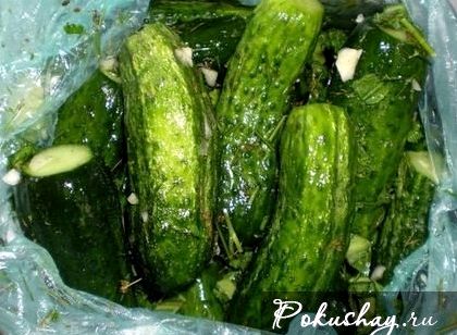Delicious svezheprosolnye uborka recept (svezheprosolnye) Svezheprosolnye ízletes recept uborka