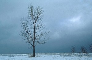 Вплив переходу на зимовий і літній час на організм, біоритми людини - ваш домашній доктор