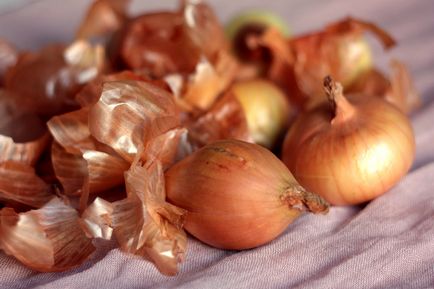 Nyolc ok, hogy használni hagyma héja a kertben, és egy konyhakert (hagyma) Nyolc ok, hogy használni hagyma héja a kertben, és a kert