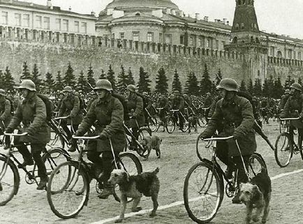 На згадку про собак війни