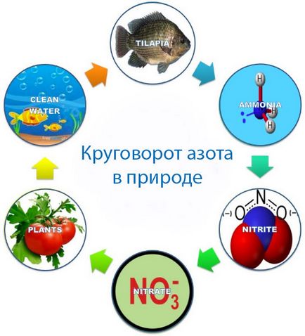 Все про перевірку якості води і чищення колодязя