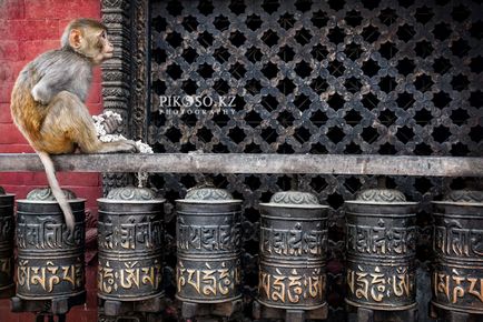 Toți ochii din Kathmandu, notele fotografilor