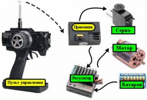 Introducere în lumea modelelor radio controlate de mașini