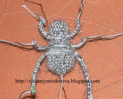 Tricotat păianjen cu pânză de păianjen
