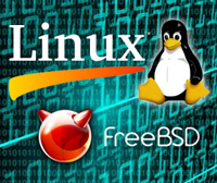 Взаємодія ос freebsd з обладнанням cisco