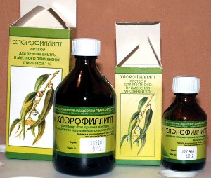 Chlorophyllipt angina gyerekek, hogyan kell tenyészteni öblítéshez