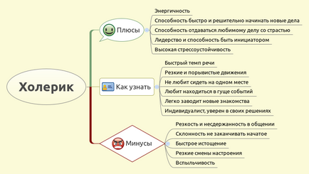 Холерик нестримний і неповторний, психологія