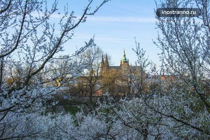 Petrin's Hill din Praga