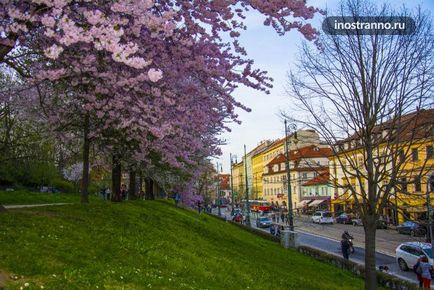 Petrin's Hill din Praga