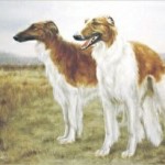 Horta ogar, câini de vânătoare