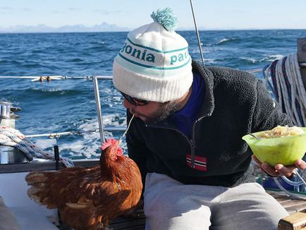 Puiul curajos calatoreste lumea pe un yacht de navigatie