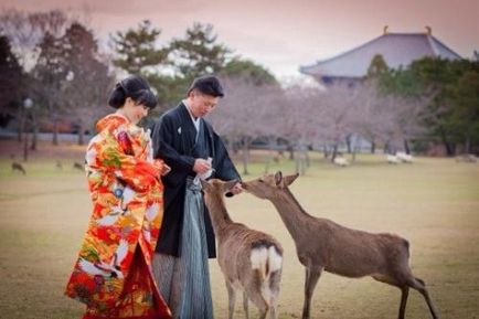 Japoneză_Wedding de tradiție japoneză, păr și make-up