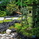 Японські сади, блог - приватна архітектура